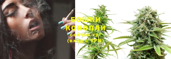 стаф Зерноград