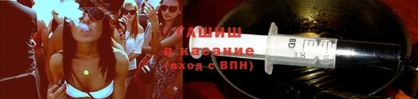 стаф Зерноград