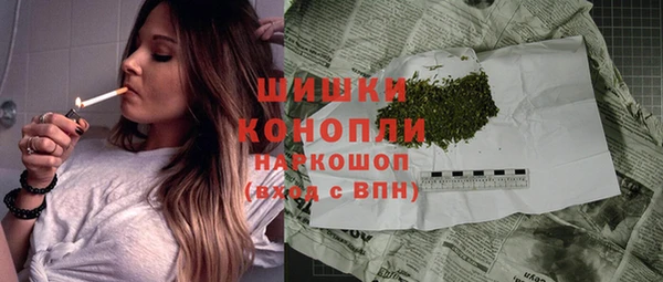 стаф Зерноград