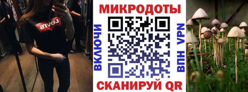 Галлюциногенные грибы мицелий  Купить  Хабаровск 