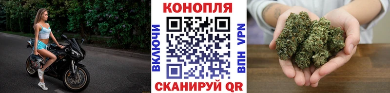 Канабис ГИДРОПОН Хабаровск