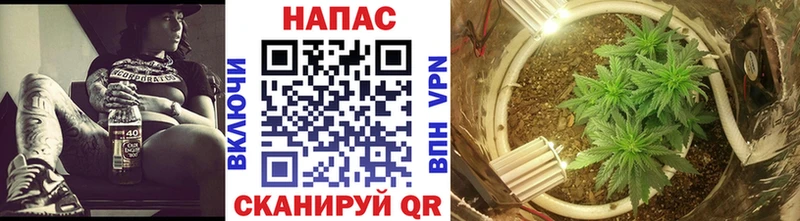 Купить где  Хабаровск  Бошки марихуана MAZAR 